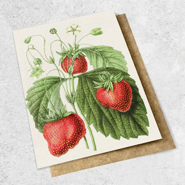 Ink Bomb | Vintage Garden Cards