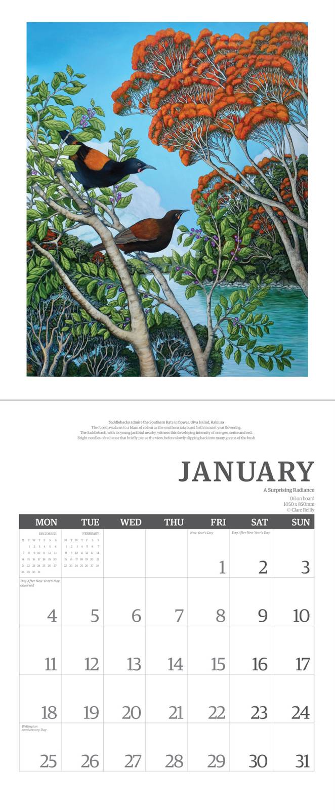 Clare Reilly - 2027 Wall Calendar