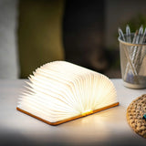 Gingko - Harmony Orange - Mini Smart LED Booklight