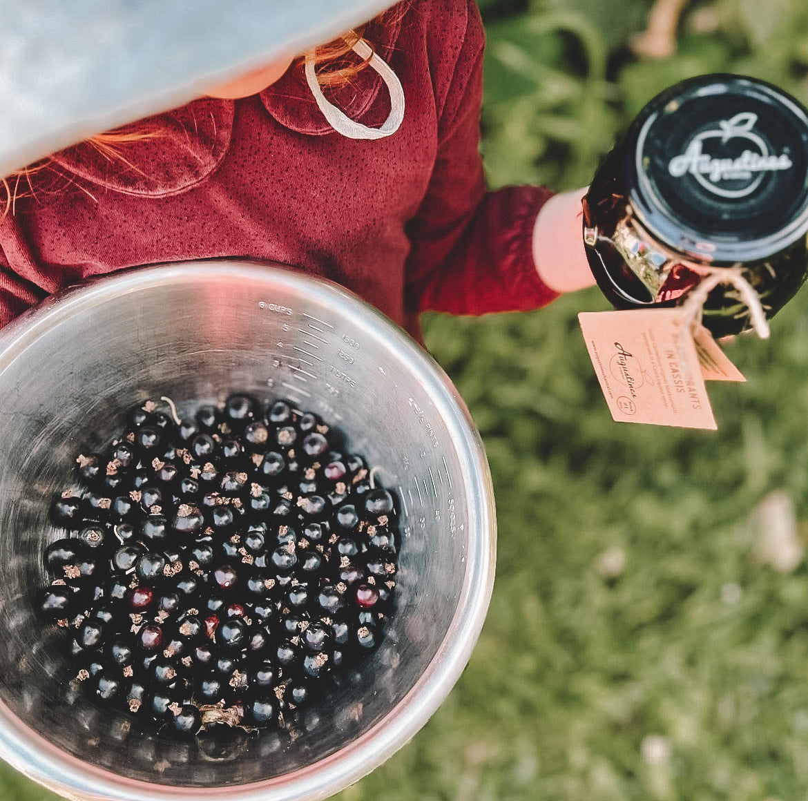 Augustines | Blackcurrants in Cassis