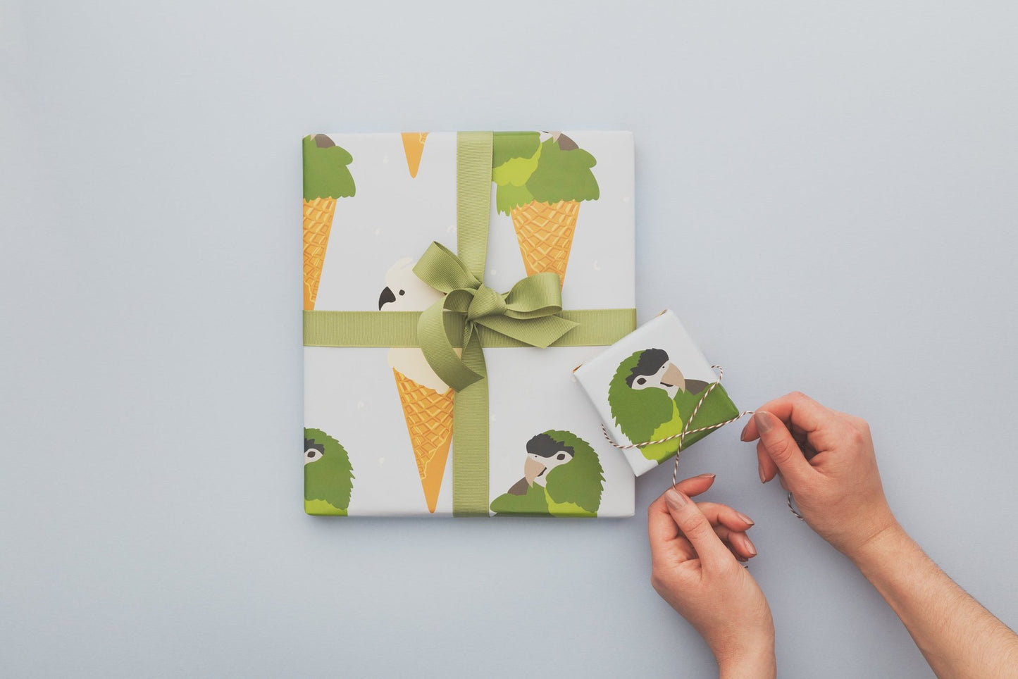 Wrapping Paper Book | NZ Nature Edition