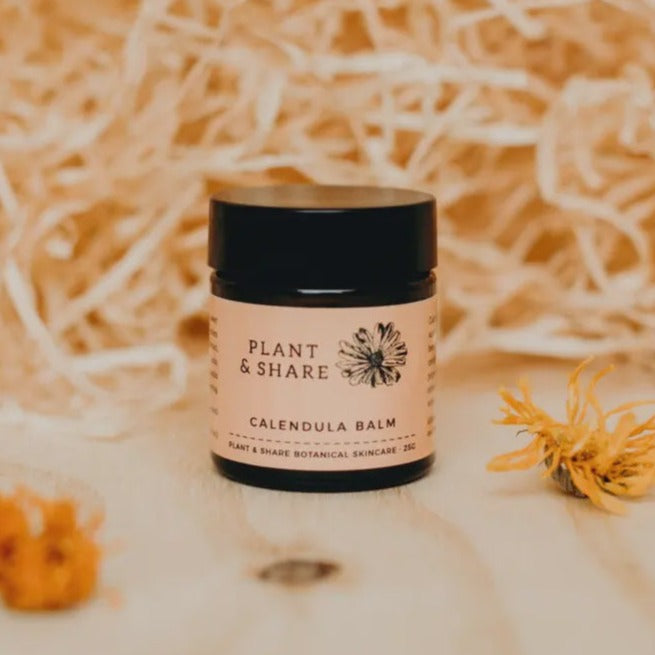 Calendula Balm plant and share