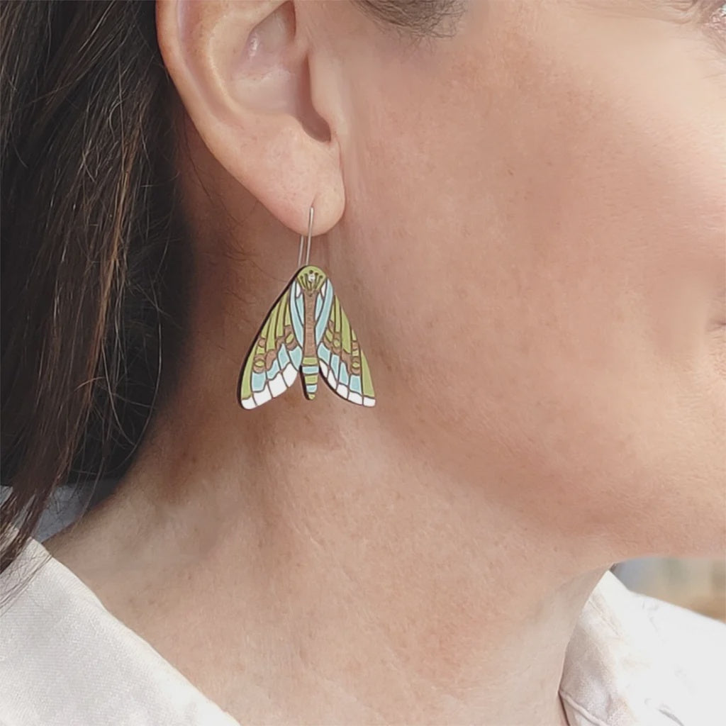 Puriri Moth rimu earrings