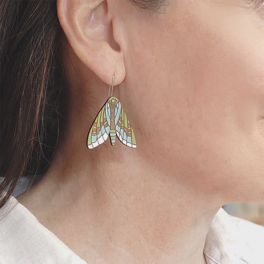 Puriri Moth rimu earrings
